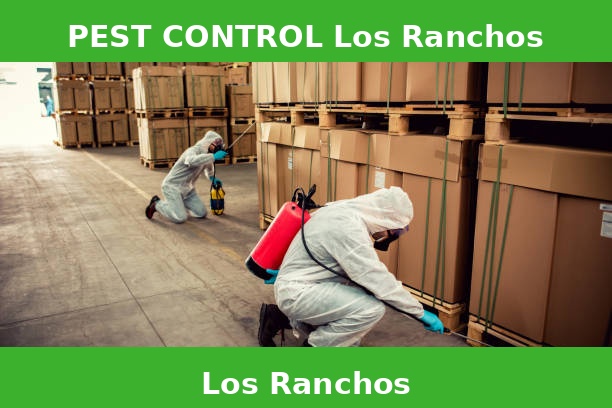 PEST CONTROL Los Ranchos